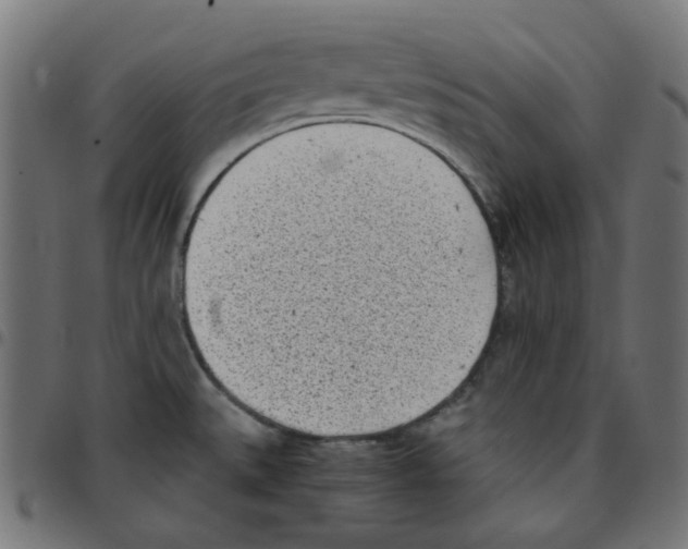 X0000096961527200803071039