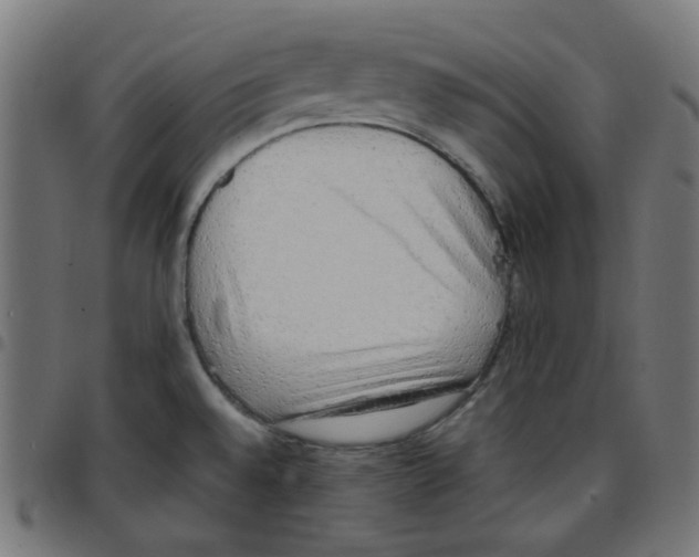 X0000096961528200803071039