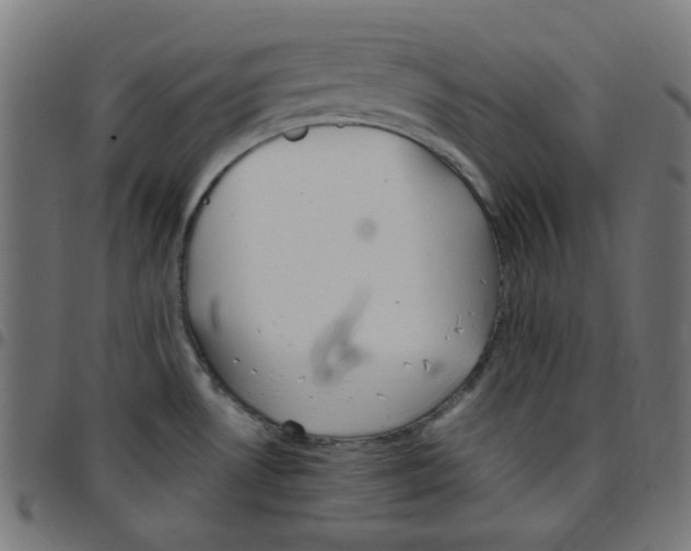 X0000096961530200803071039