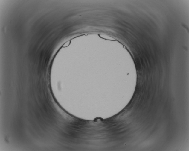 X0000096961531200803071039