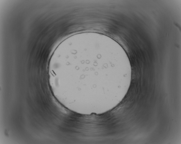 X0000096961532200803071039