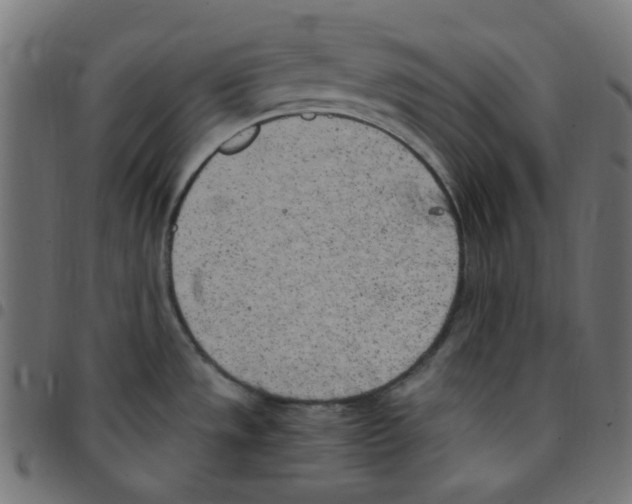 X0000096961533200803071039