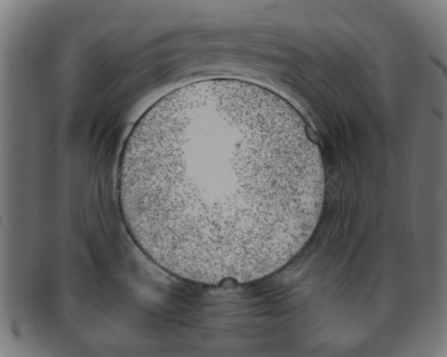 X0000096961535200803071039