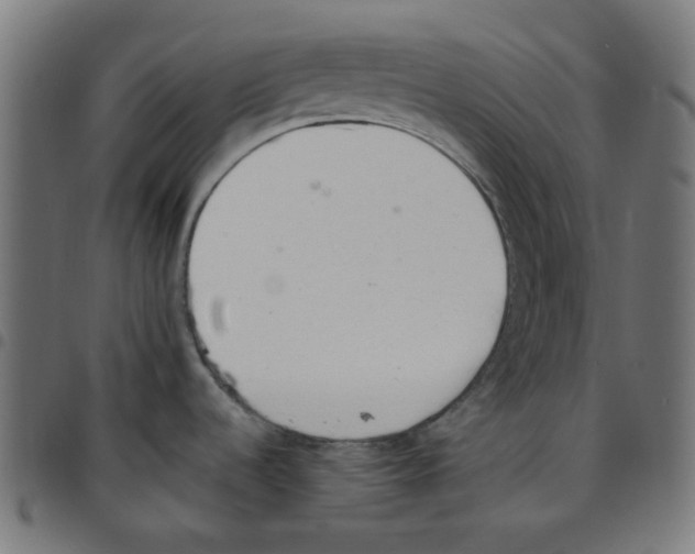 X0000096961536200803071039