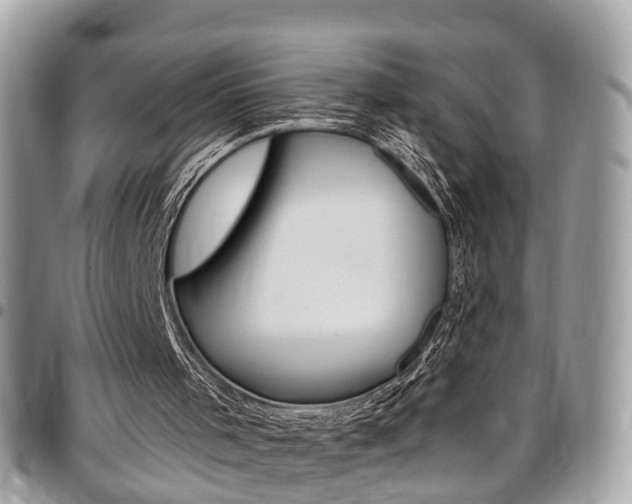 X0000096970001200802080934
