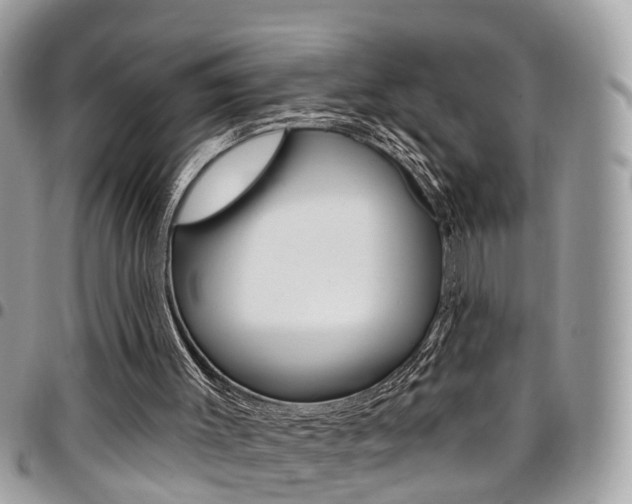X0000096970003200802080934