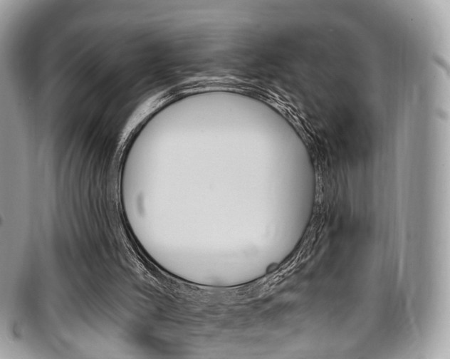 X0000096970004200802080934