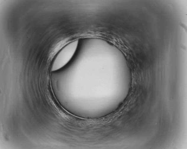 X0000096970005200802080934