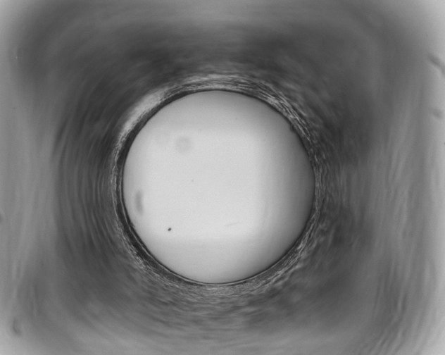 X0000096970006200802080934