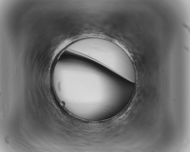 X0000096970008200802080934