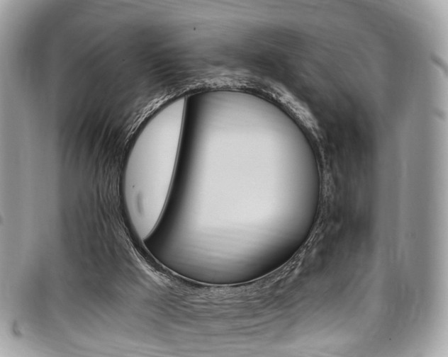 X0000096970009200802080934