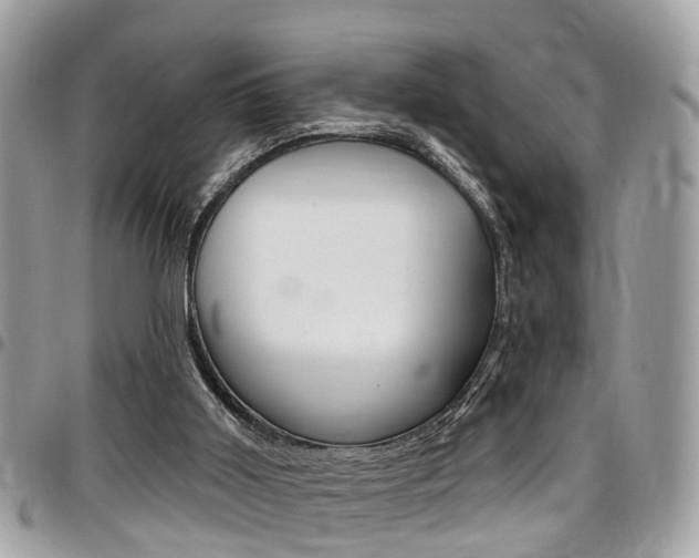 X0000096970011200802080934