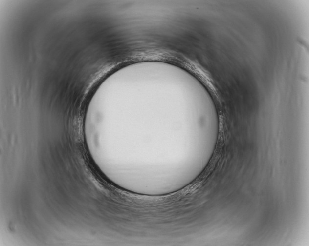 X0000096970012200802080934