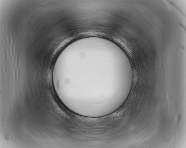 X0000096970016200802080934