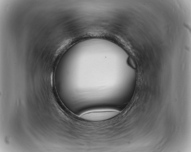 X0000096970019200802080934