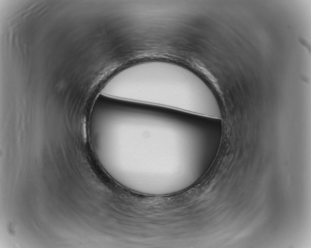 X0000096970020200802080934