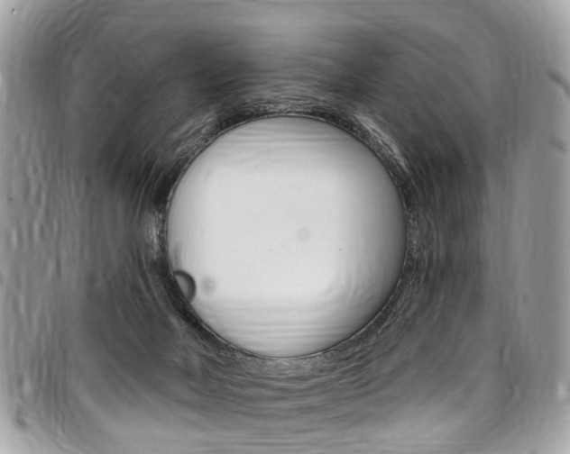 X0000096970026200802080934