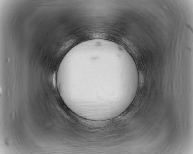 X0000096970028200802080934