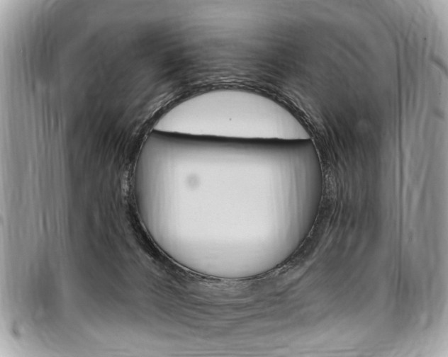 X0000096970032200802080934