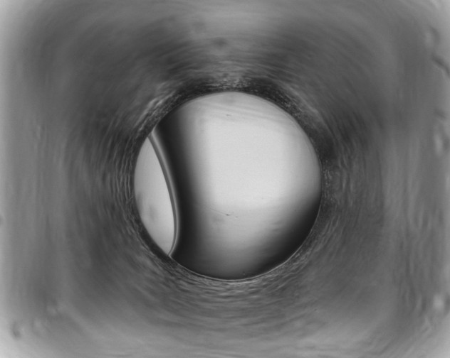 X0000096970035200802080934