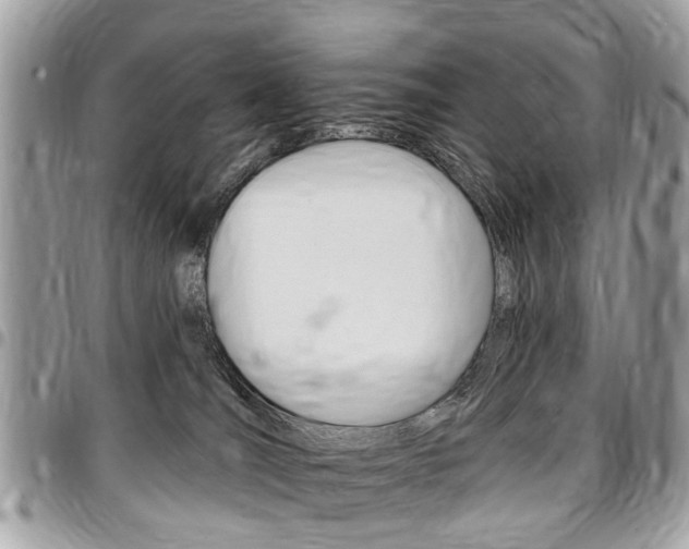 X0000096970036200802080934