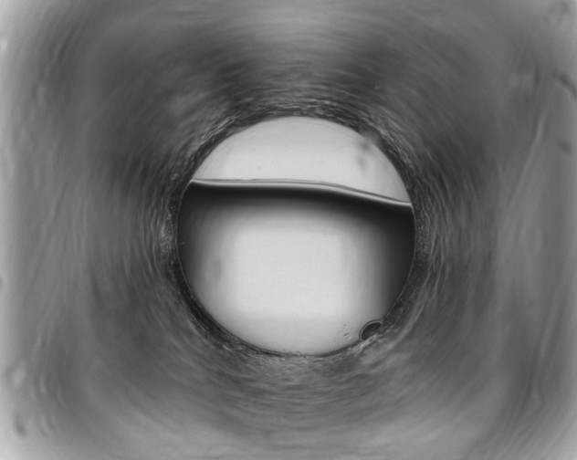 X0000096970040200802080933