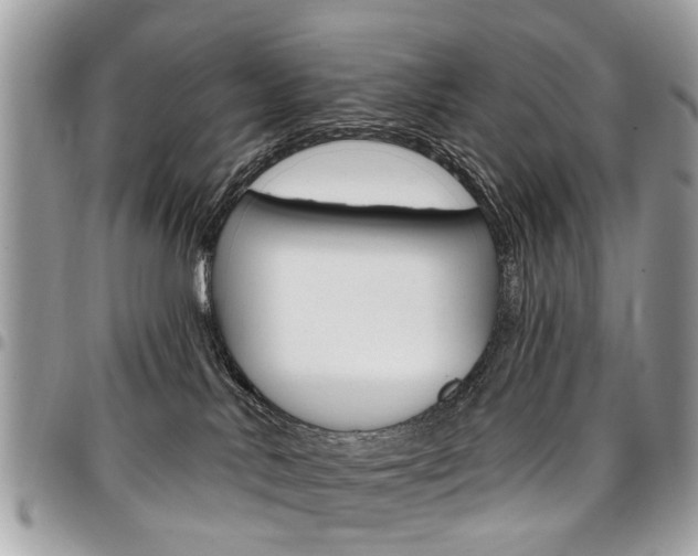 X0000096970042200802080933