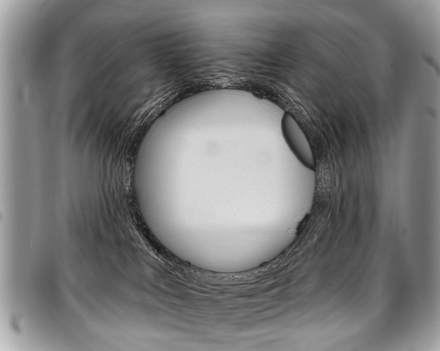 X0000096970043200802080933