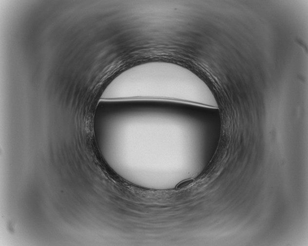X0000096970044200802080933