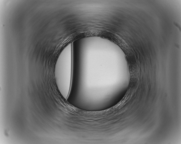 X0000096970045200802080933