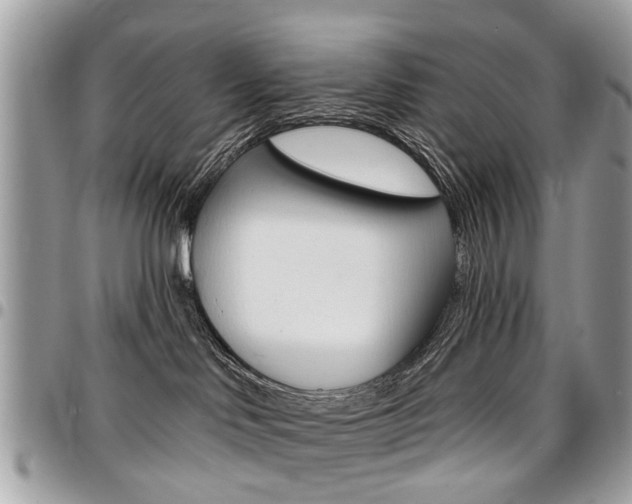 X0000096970046200802080933