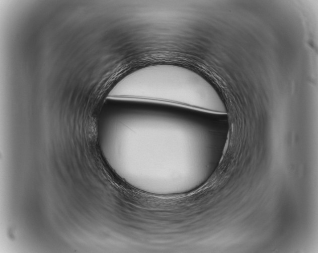 X0000096970048200802080933
