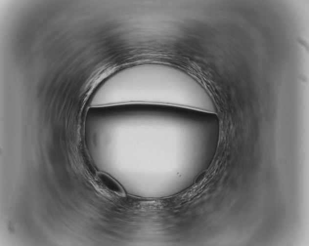 X0000096970050200802080933