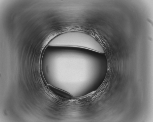 X0000096970052200802080933