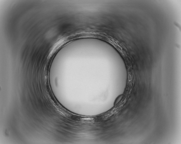 X0000096970053200802080933