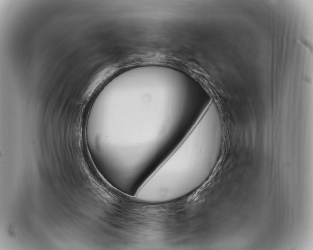 X0000096970054200802080933