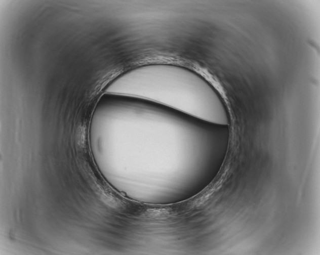 X0000096970057200802080933