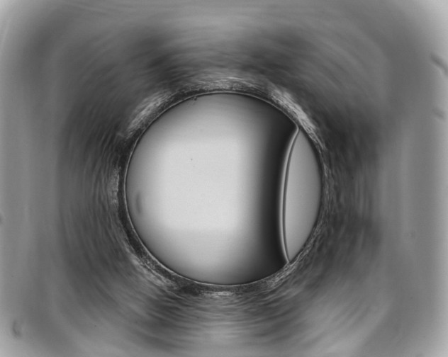 X0000096970058200802080933