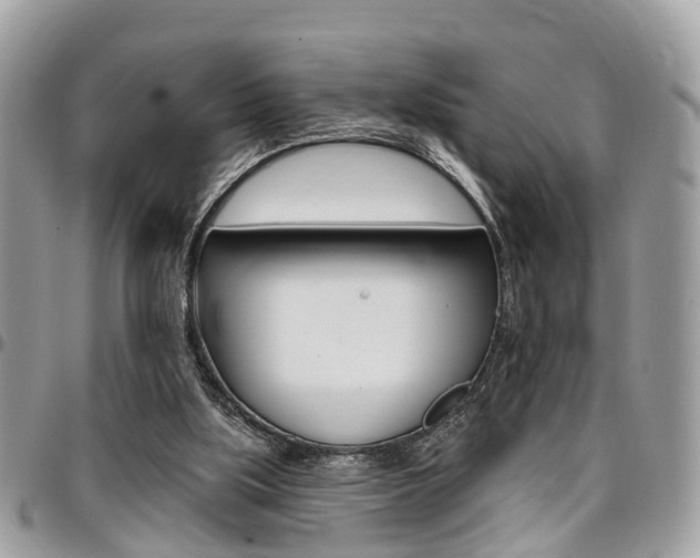 X0000096970059200802080933