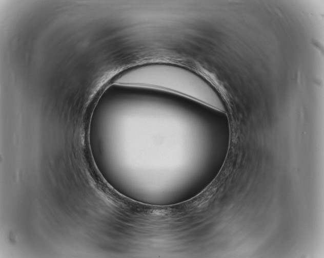 X0000096970060200802080933