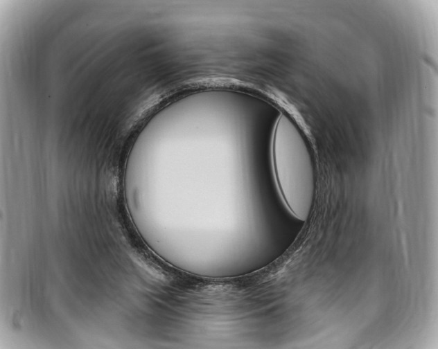 X0000096970063200802080933