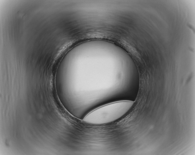 X0000096970064200802080933
