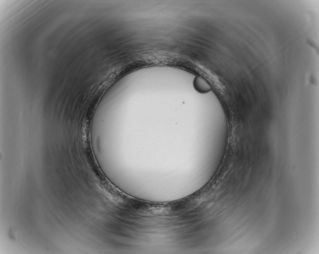X0000096970065200802080933