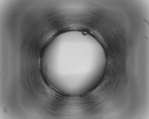 X0000096970066200802080933