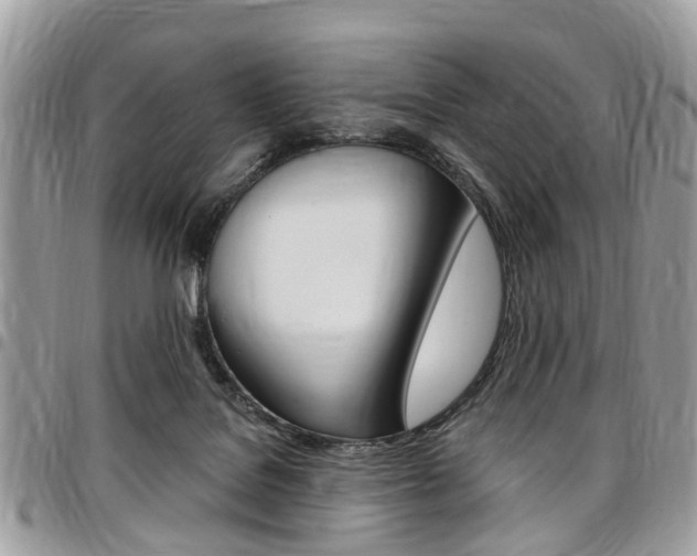 X0000096970076200802080933