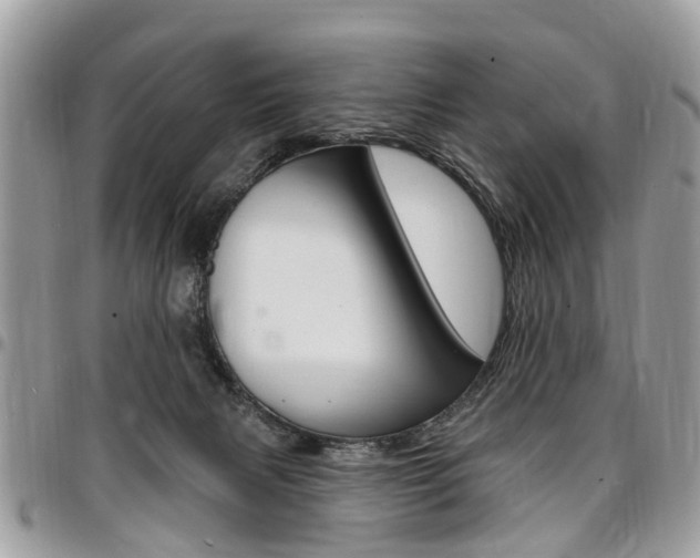 X0000096970079200802080933