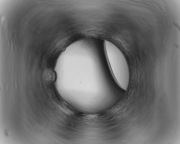 X0000096970081200802080933