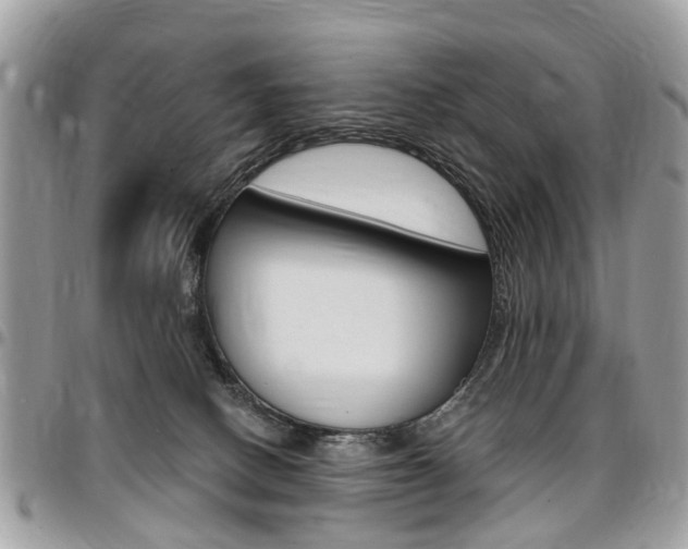 X0000096970082200802080933