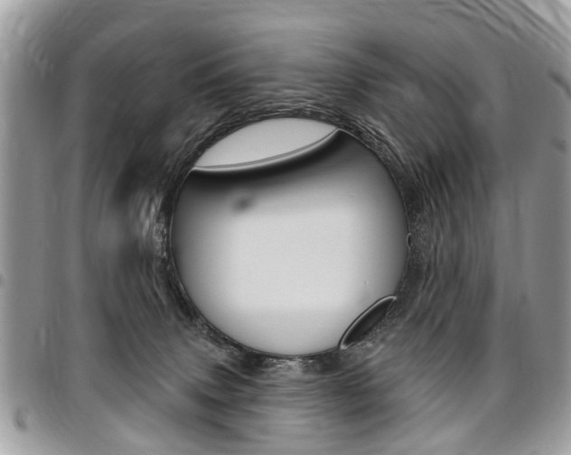 X0000096970083200802080933
