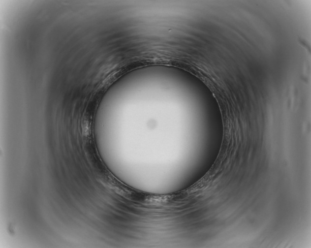 X0000096970084200802080933